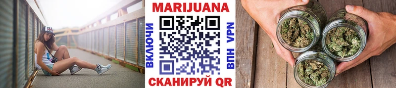 Шишки марихуана планчик  где найти наркотики  Черняховск 